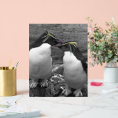 Pinguïn Kleurensplash Acryl Bord (Huwelijk)