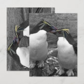 Pinguïn Kleurensplash Briefkaart (Voorkant / Achterkant)