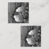 Pinguïn Kleurensplash Informatiekaartje (Voorkant / Achterkant)