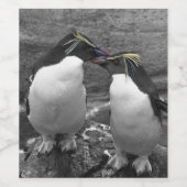 Pinguïn Kleurensplash Wijn Etiket (Enkel label)