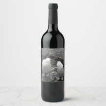 Pinguïn Kleurensplash