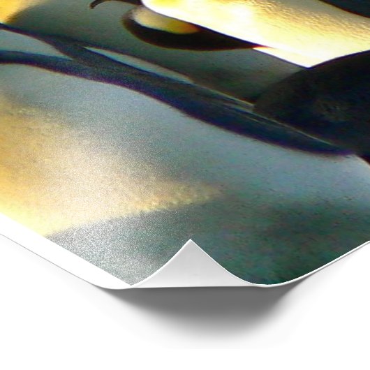 Pinguïn kolonie op ijs foto afdruk (Hoek)