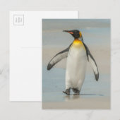 Pinguïn loopt op het strand briefkaart (Voorkant / Achterkant)