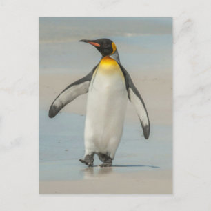 Pinguïn loopt op het strand briefkaart