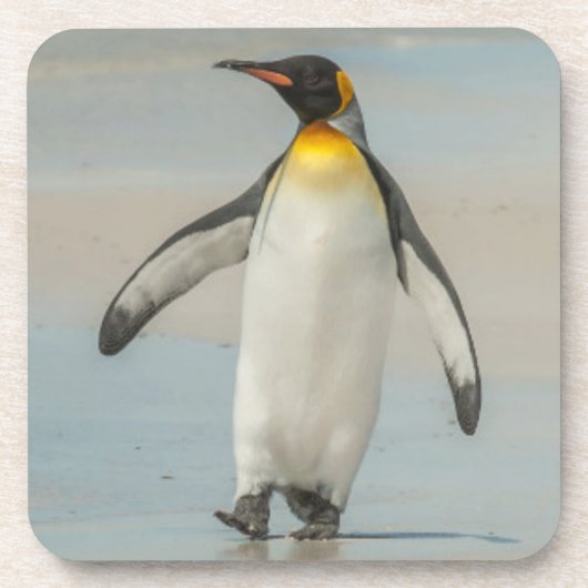 Pinguïn loopt op het strand drankjes onderzetter (Voorkant)
