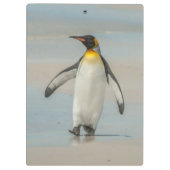 Pinguïn loopt op het strand klembord (Achterkant)