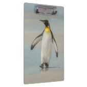 Pinguïn loopt op het strand klembord (Rechts)