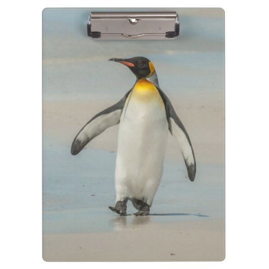Pinguïn loopt op het strand klembord (Voorkant)