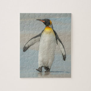 Pinguïn loopt op het strand legpuzzel