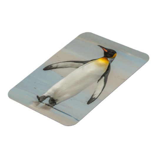 Pinguïn loopt op het strand magneet (Linkerzijde)