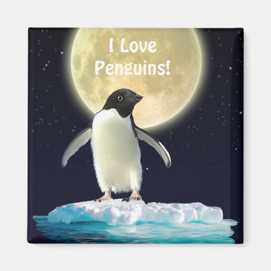 PINGUÏN MAAN Pinguïn Lover Art Magnet (Voorkant)