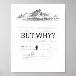 Pinguïn Maar Waarom Bergen Poster