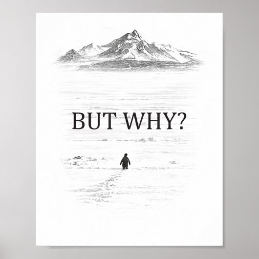Pinguïn Maar Waarom Bergen  Poster (Voorkant)