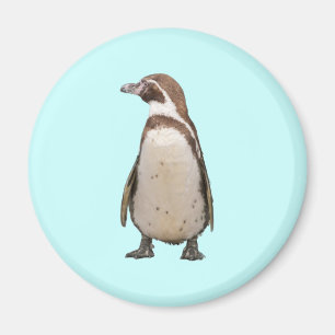 Pinguïn Magneet
