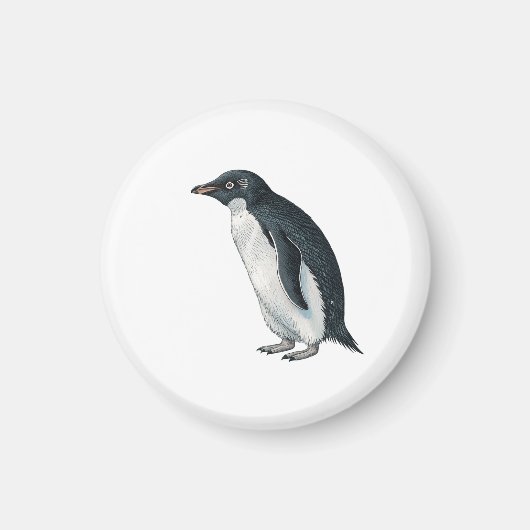Pinguïn Magneet (Voorkant)