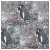 Pinguïn met een kuiken stof (Close Up)