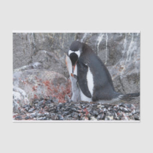 Pinguïn met een kuiken tissuepapier