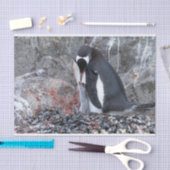 Pinguïn met een kuiken tissuepapier (Craft)