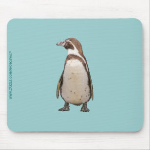 Pinguïn Muismat