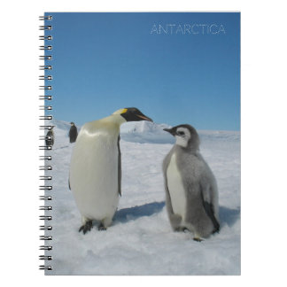pinguïn notitieboek