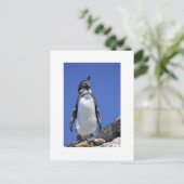 Pinguïn op Blauw Briefkaart (Staand voorkant)