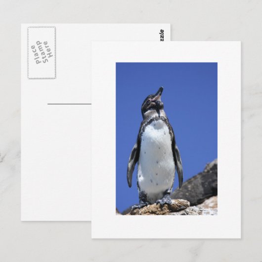 Pinguïn op Blauw Briefkaart (Voorkant / Achterkant)