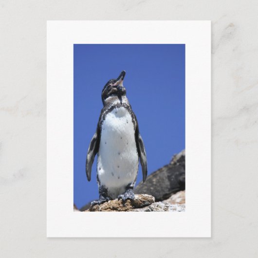 Pinguïn op Blauw Briefkaart (Voorkant)