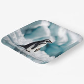 Pinguïn op ijsberg papieren bordje (Gebogen)