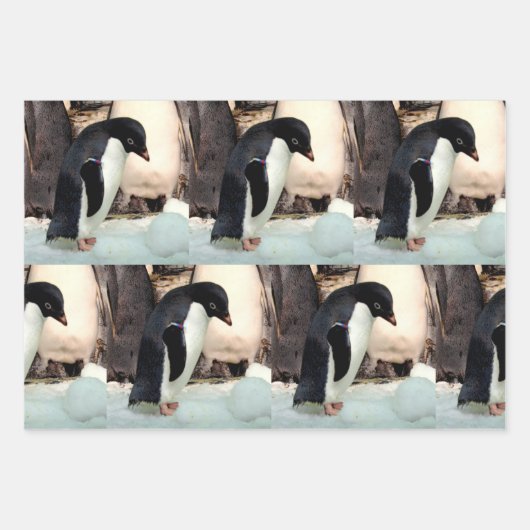 Pinguïn - papierbladen voor onmiddellijke verpakki inpakpapier vel (Voorkant 2)
