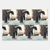 Pinguïn - papierbladen voor onmiddellijke verpakki inpakpapier vel (Voorkant)