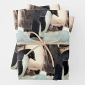 Pinguïn - papierbladen voor onmiddellijke verpakki inpakpapier vel (In situ)