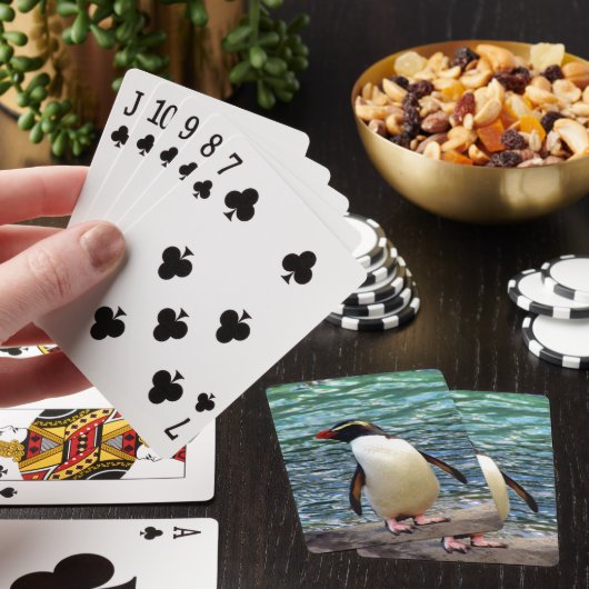 pinguïn pokerkaarten (Insitu)