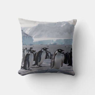 Pinguïn Processie - Antarctische Wildlife Kussen