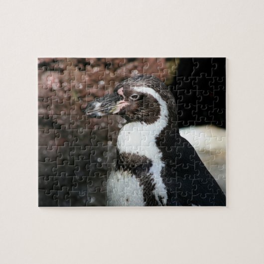 Pinguïn Puzzel (Horizontaal)