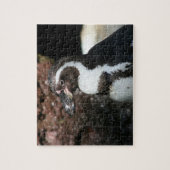 Pinguïn Puzzel (Verticaal)