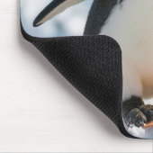Pinguïn Snowboarden Bergafwaarts Muismat (Hoek)