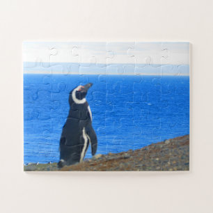 pinguïn solo legpuzzel