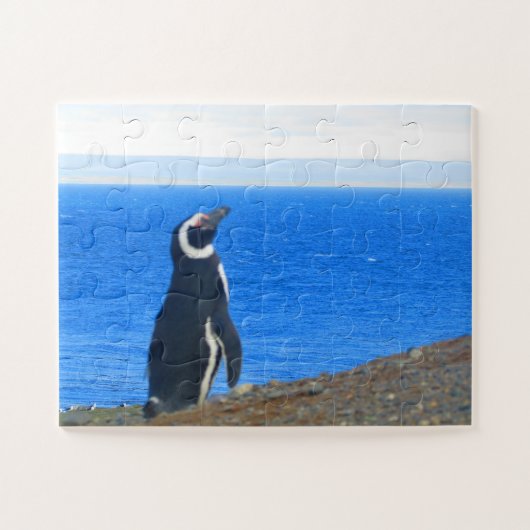 pinguïn solo legpuzzel (Horizontaal)
