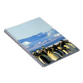 Pinguïn spiraal notitieboek (Rechterzijde)