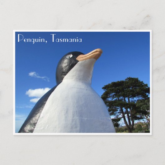 pinguïn tasmanie briefkaart (Voorkant)