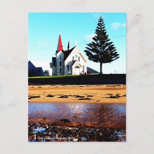 Pinguïn, Tasmanie. Briefkaart (Voorkant)