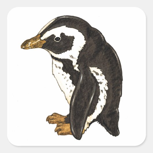 Pinguïn van Liesel Bendio Potter Vierkante Sticker (Voorkant)