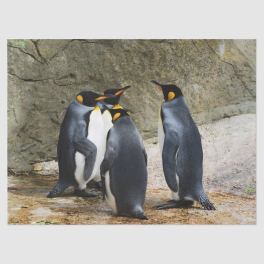 pinguïn vergadering tissuepapier (Voorkant)