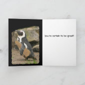 Pinguïn Viool Overweging, veel succes Kaart (Binnen)