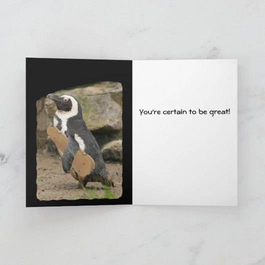 Pinguïn Viool Overweging, veel succes Kaart (Binnen)