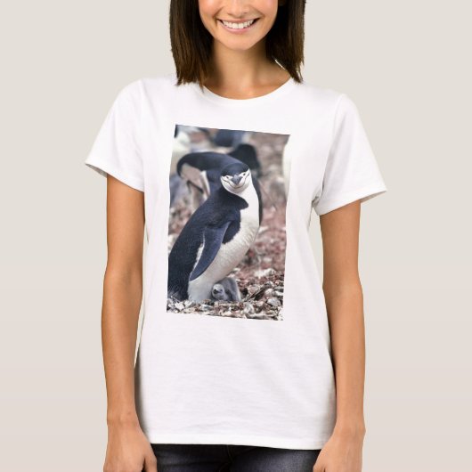 Pinguïn Vogel Cute Dier Zwart Wit Water T-shirt (Voorkant)