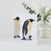Pinguïn Vogel Dier Ijs Bevroren Winter Briefkaart (Staand voorkant)