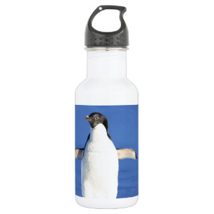 Pinguïn Vogel Veren Zwart Wit Naam Personalizeren Waterfles