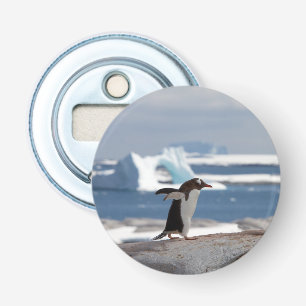 Pinguïn voor een ijsboog button flesopener