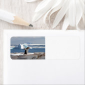 Pinguïn voor een ijsboog etiket (Insitu)